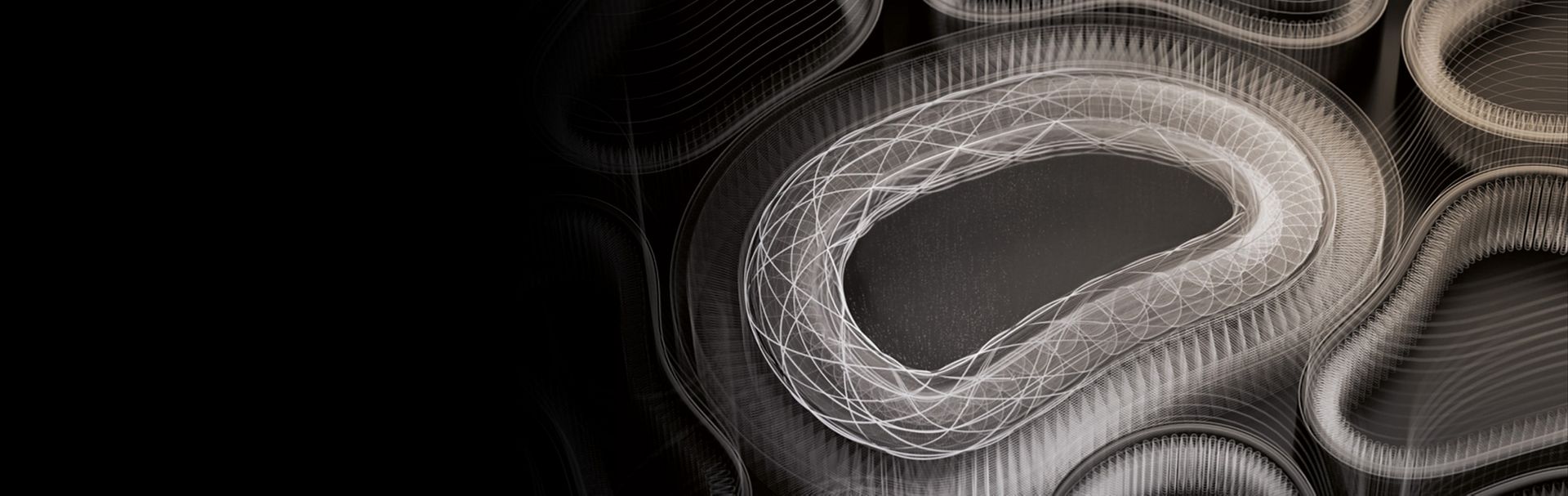A computer visualisation of the microscopic cell walls of a mushroom.