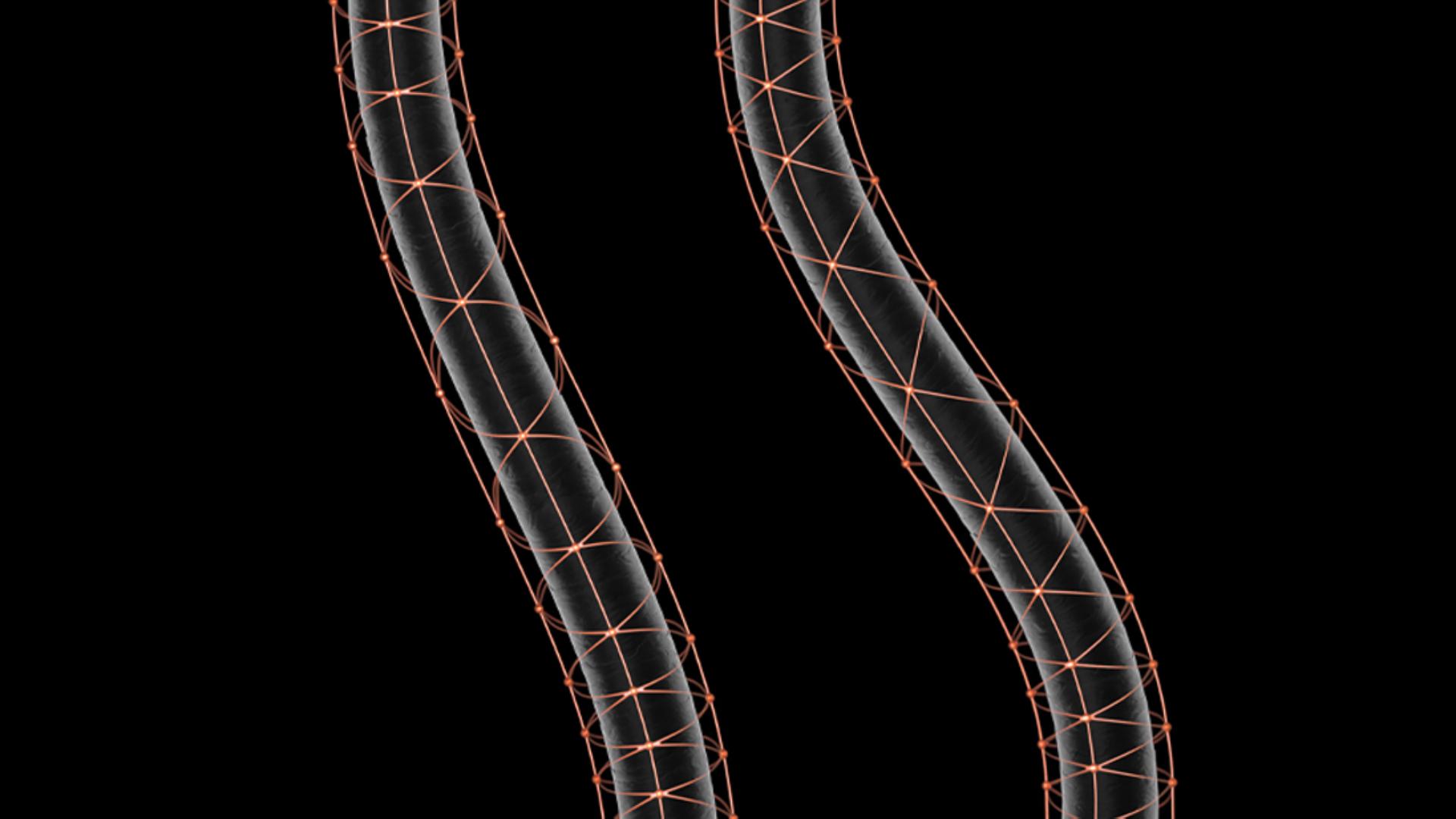 Hair strands, in a super close-up, surrounded by delicate golden web-like structures. They are separate and can move freely.