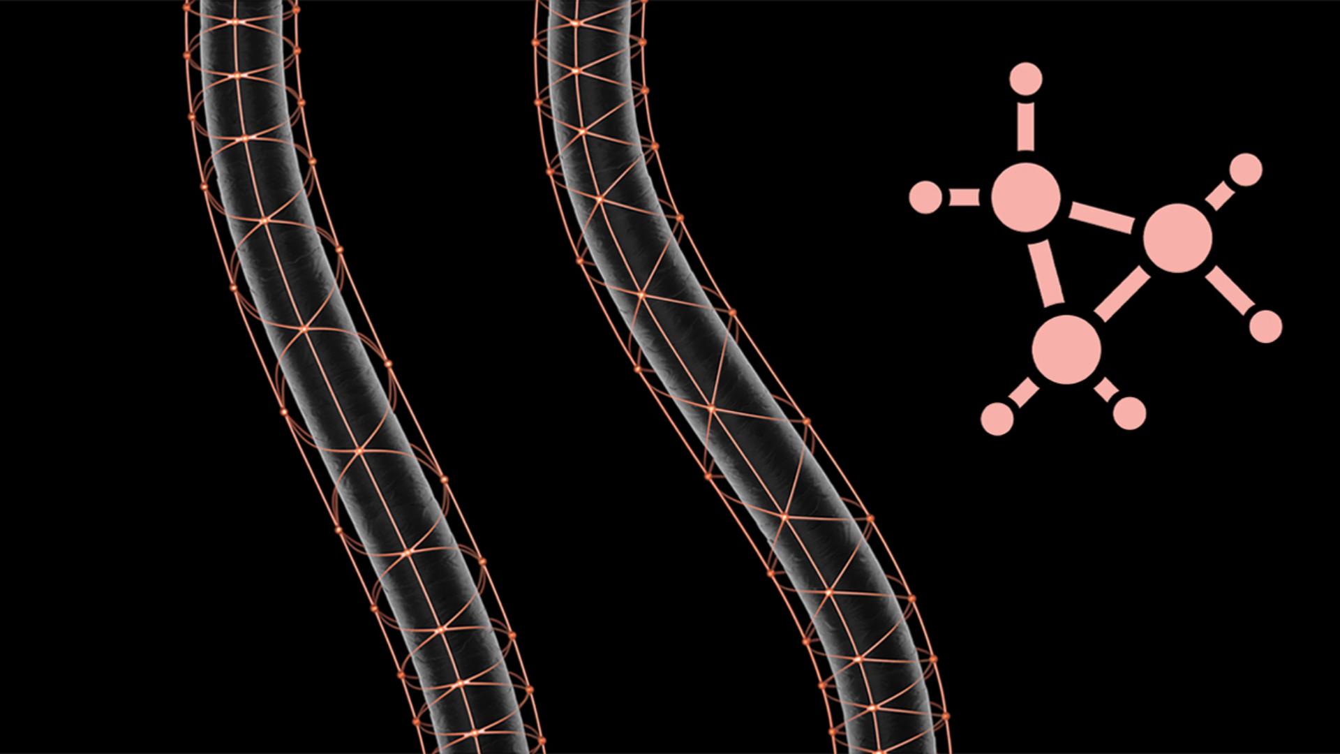 Microscopic close-up of hair strands surrounded by delicate golden web-like structures.