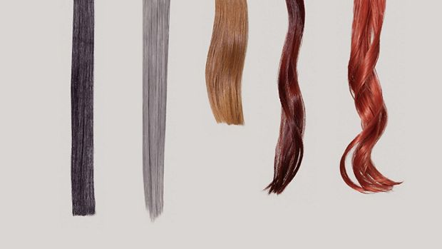 Straight and wavy hair tresses clipped to a metal bar, in a lab setting.