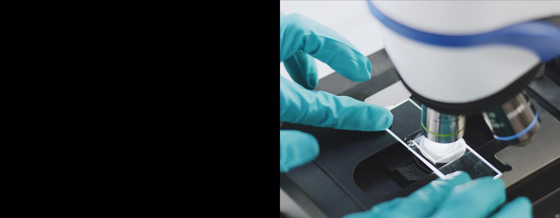 Substance being placed on a glass slide under a microscope.