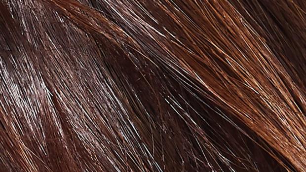 Close-up of tresses of shiny brunette hair.