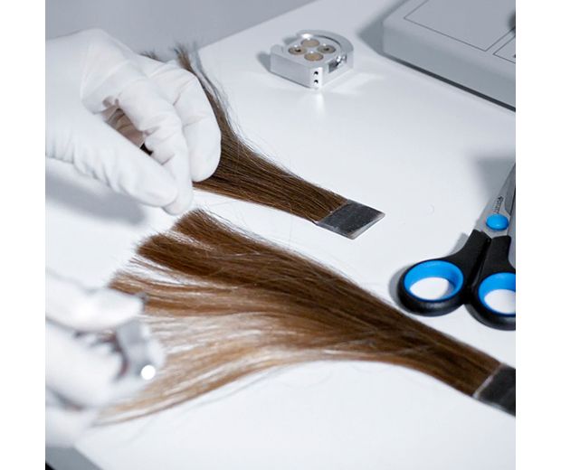 Real hair being tested in laboratory.