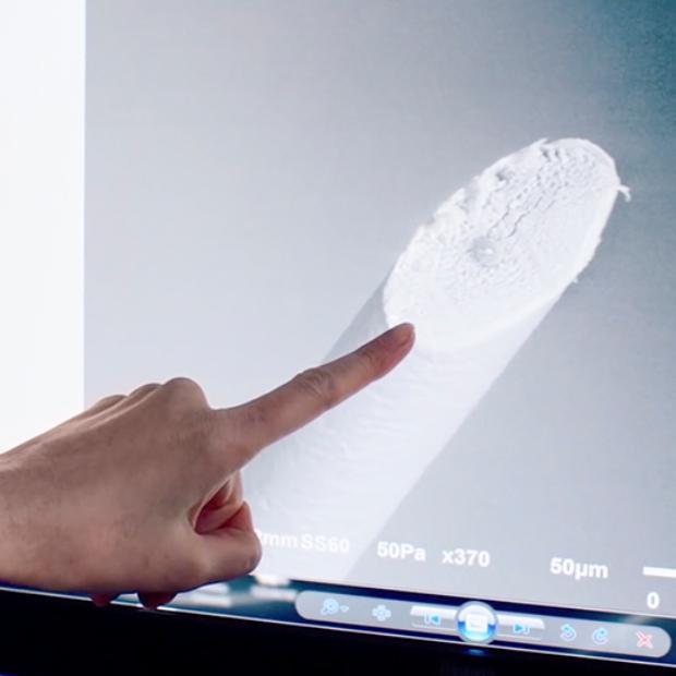 Hair being tested under heating elements