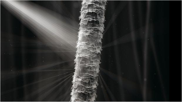 אור מפוזר משיער פגום