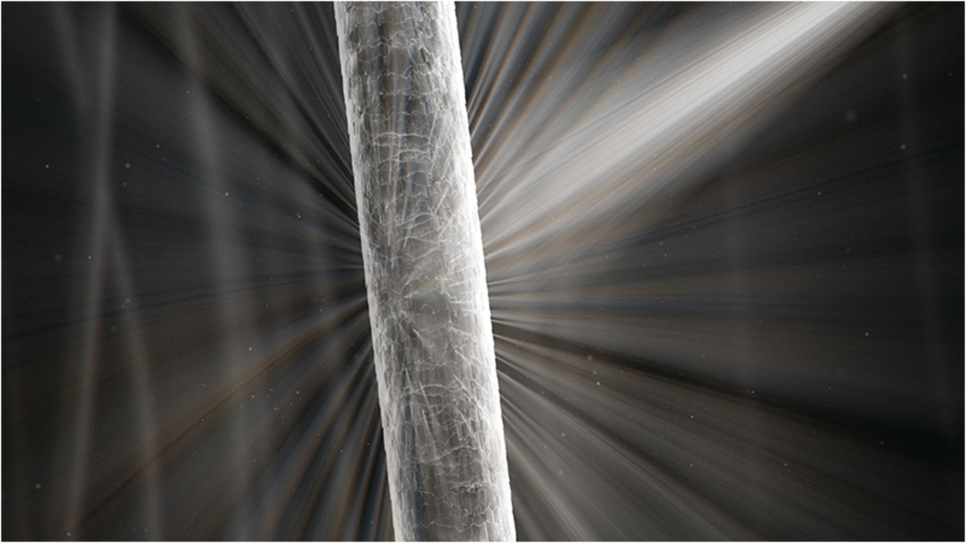 Păr sănătos reflectând lumina