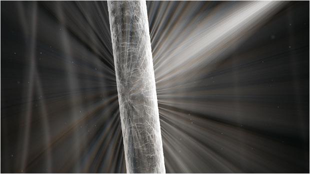 שיער בריא מחזיר אור