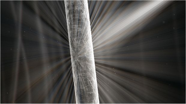 שיער בריא מחזיר אור