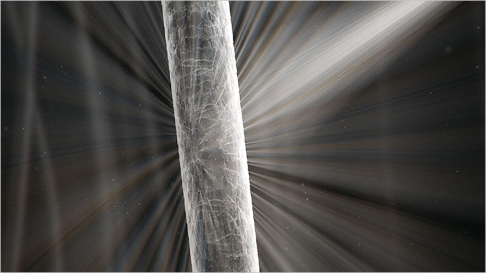 Sağlıklı saçın ışığı yansıtması görseli.