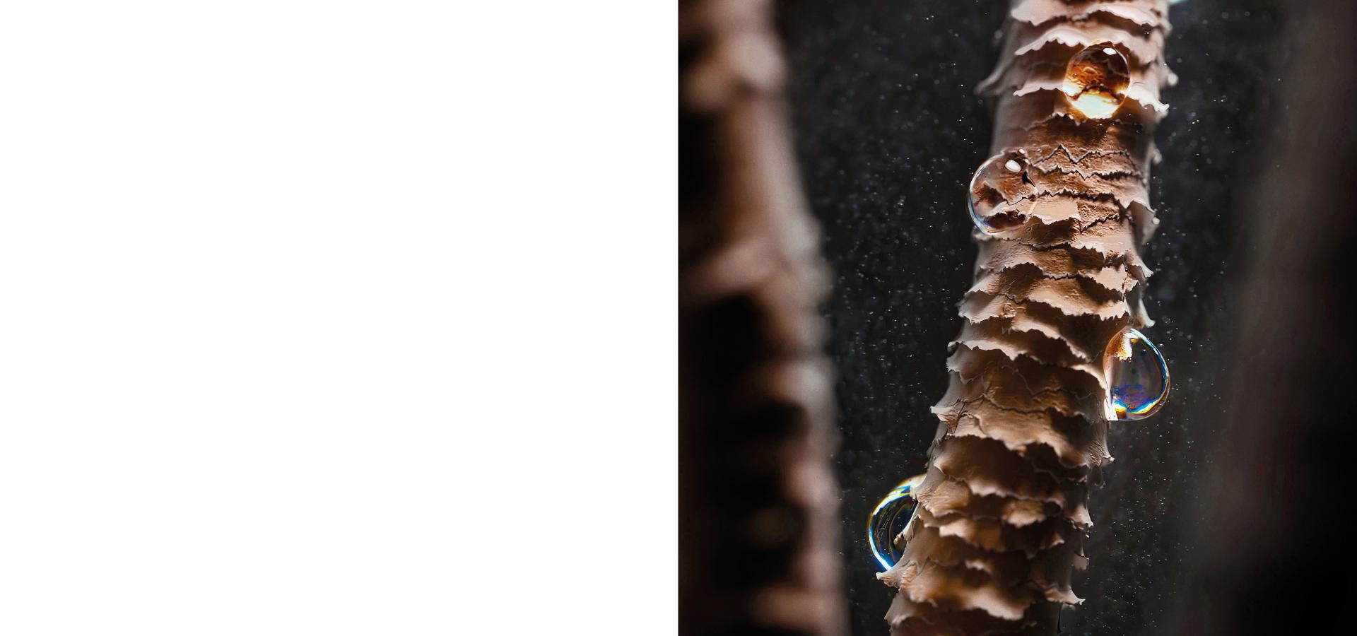 Extreme close-up of a hair strand with droplets of water on it.