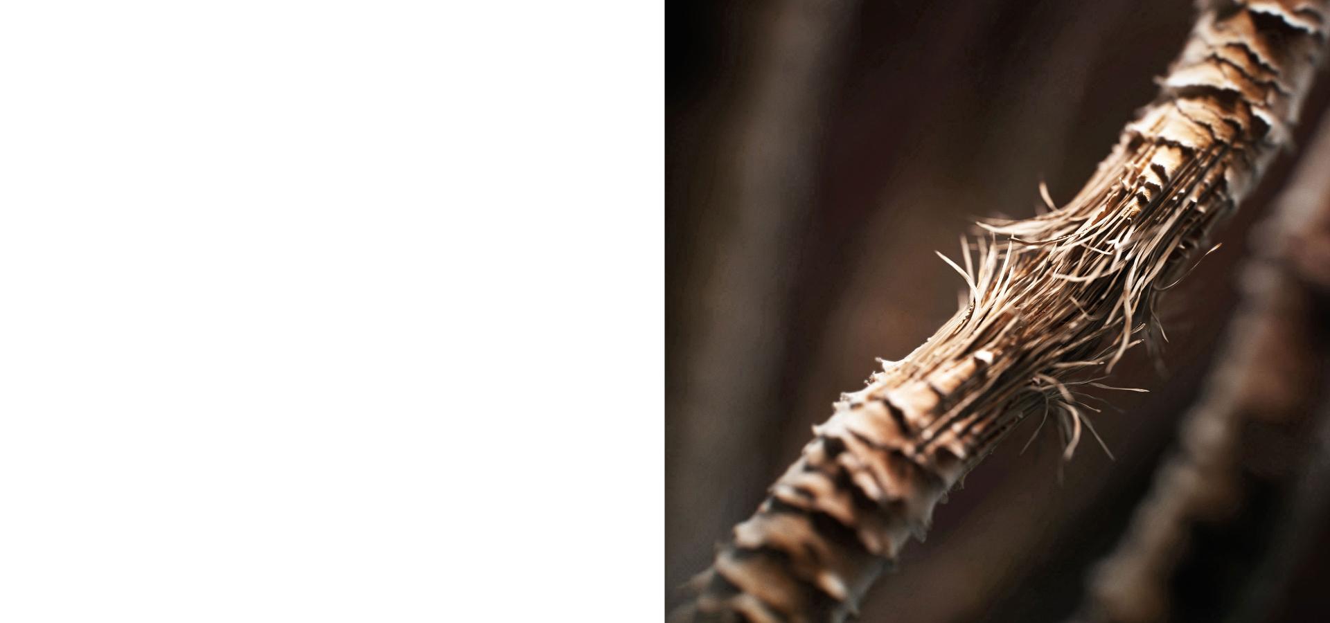 Extreme close-up of a hair strand breaking.