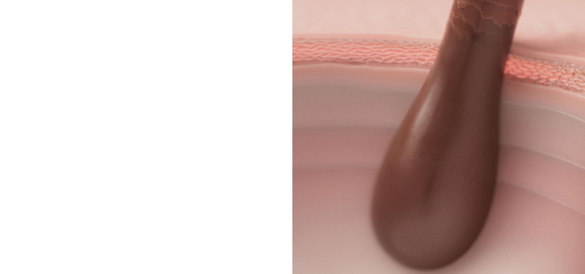 Extreme close-up of a hair root below the scalp.