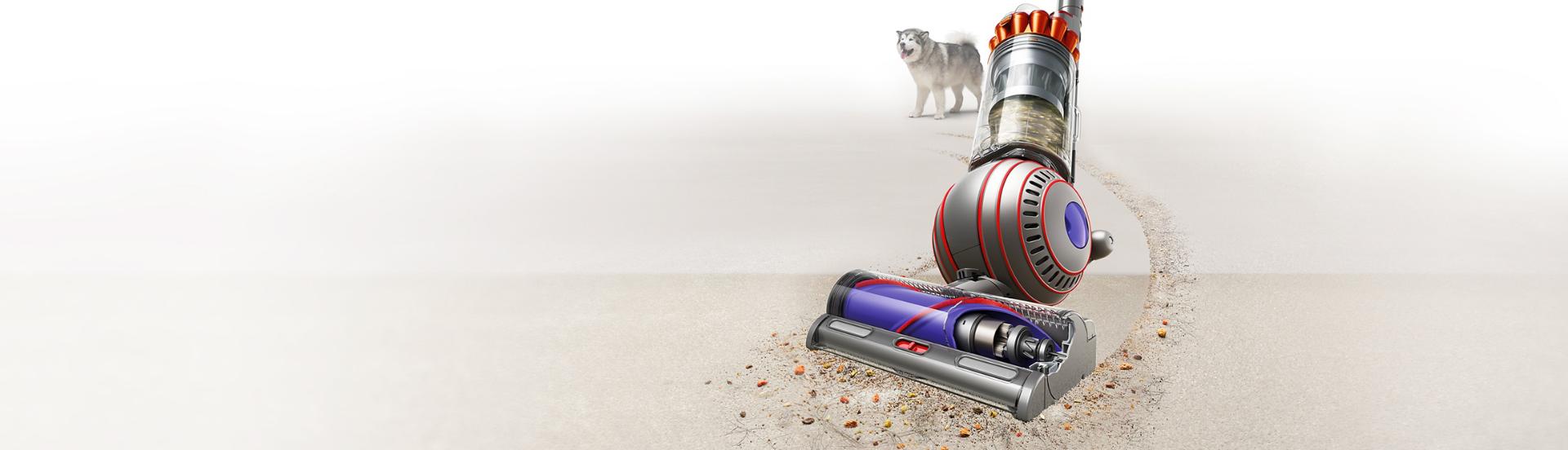A Dyson Ball Animal Multi-floor vacuum cleaner clears debris from a floor with a dog in the background.