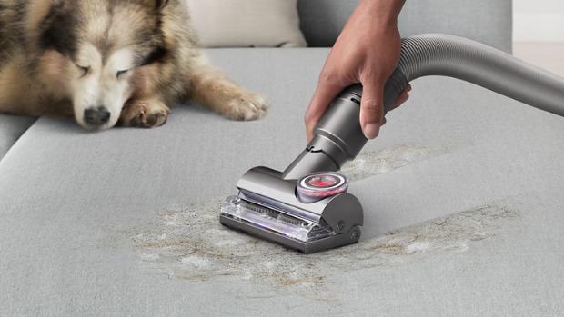 The Dyson Tangle-free turbine tool cleaning a sofa next to a dog