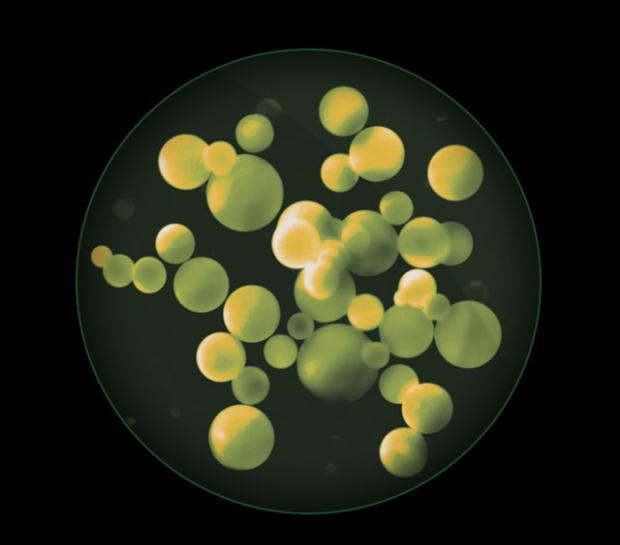 Close-up of microscopic particles