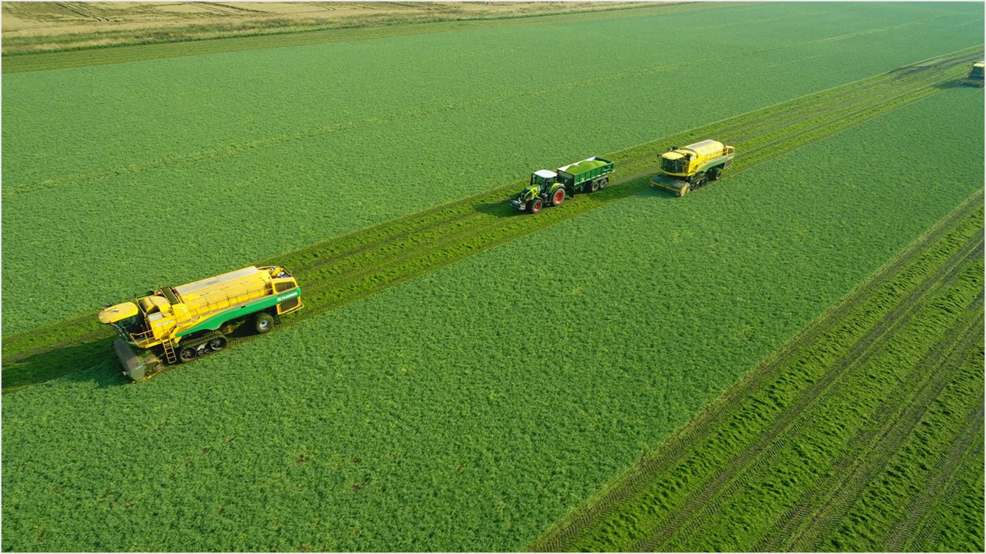 Tractors working in a field.