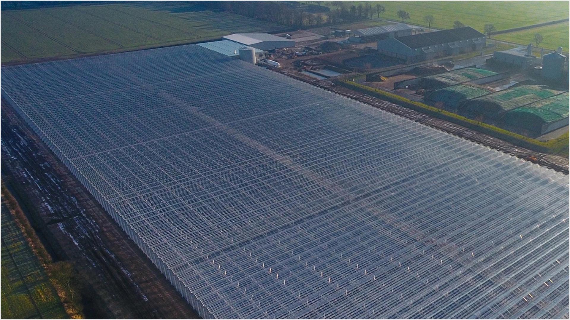Bird's-eye view of the Dyson Farming glasshouse.