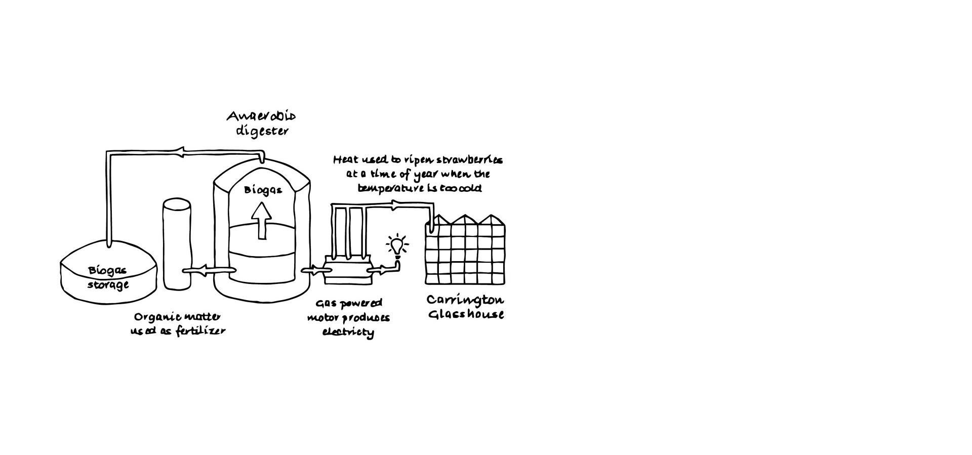 Diagram of anaerobic digestion.