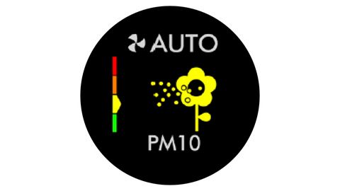   Schermo LCD mostrando il PM10