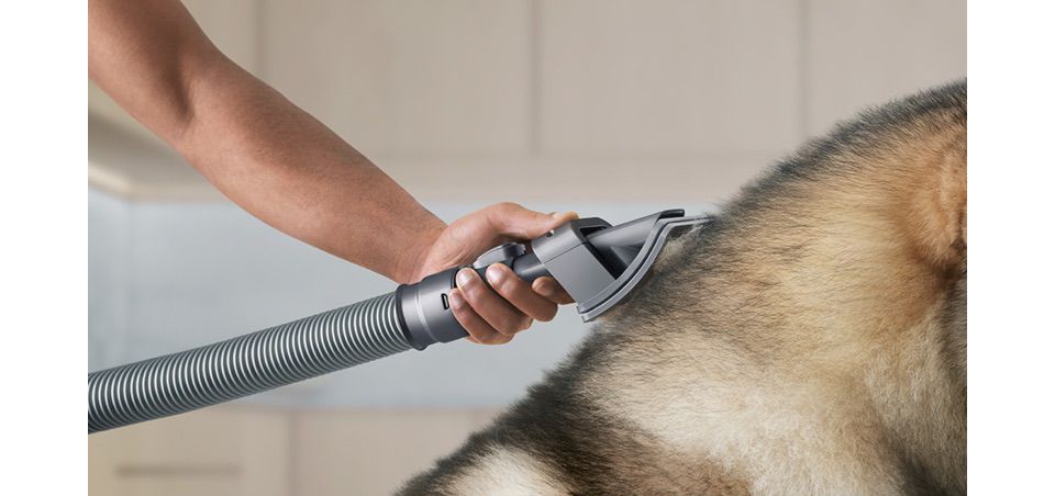 Close up of a Pet groom tool brushing a dog