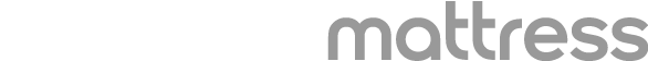 V8 Handheld logo
