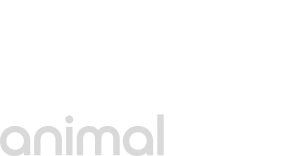 Dyson Piston Animal 로고