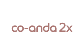 Dyson Co-anda Airwrap