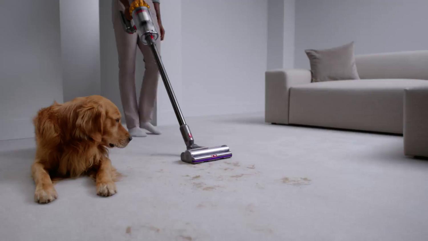 Persoon met woonkamer schoon met DYson V15 Detect draadloze stofzuiger