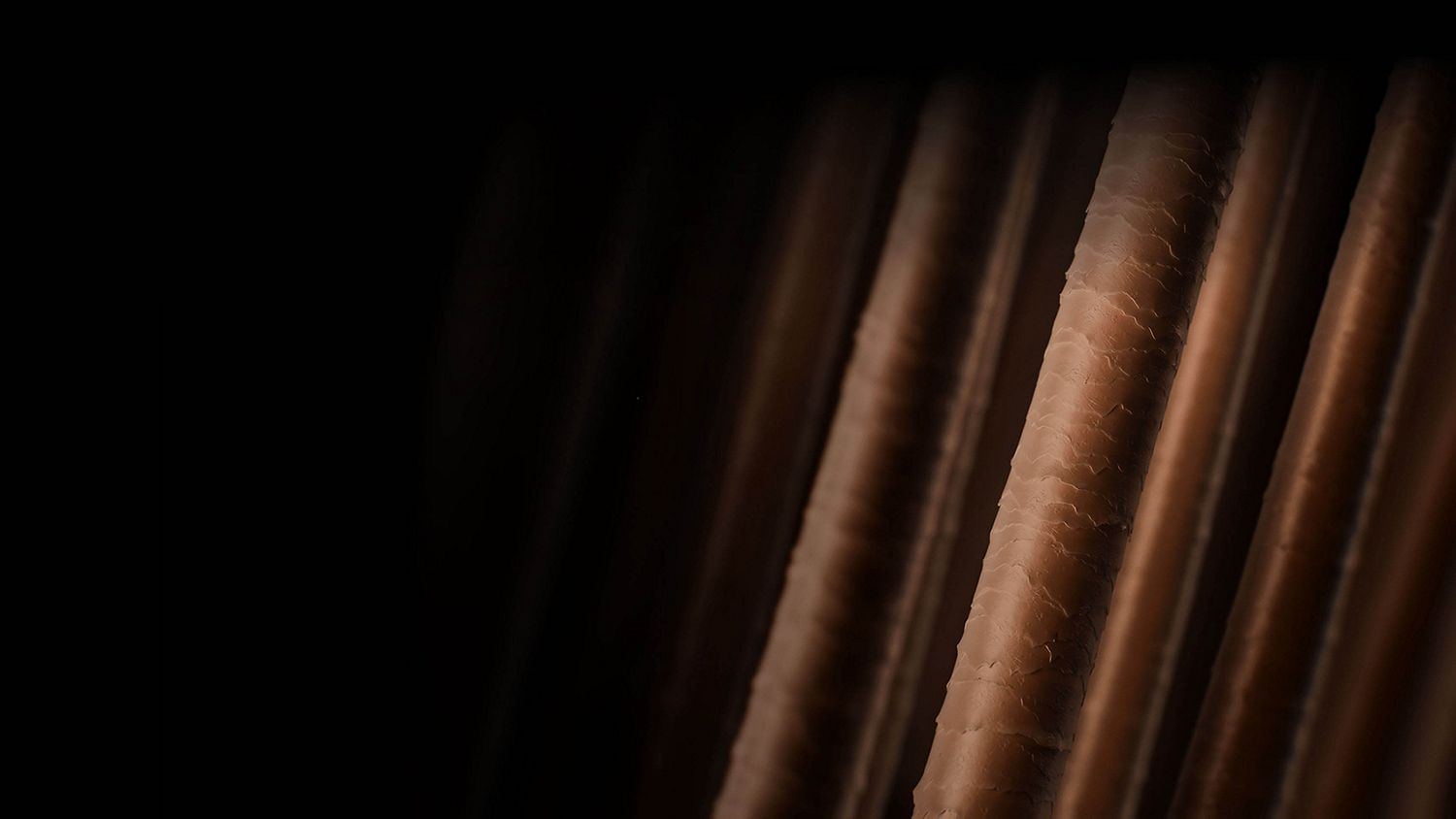 Les follicules pileux 