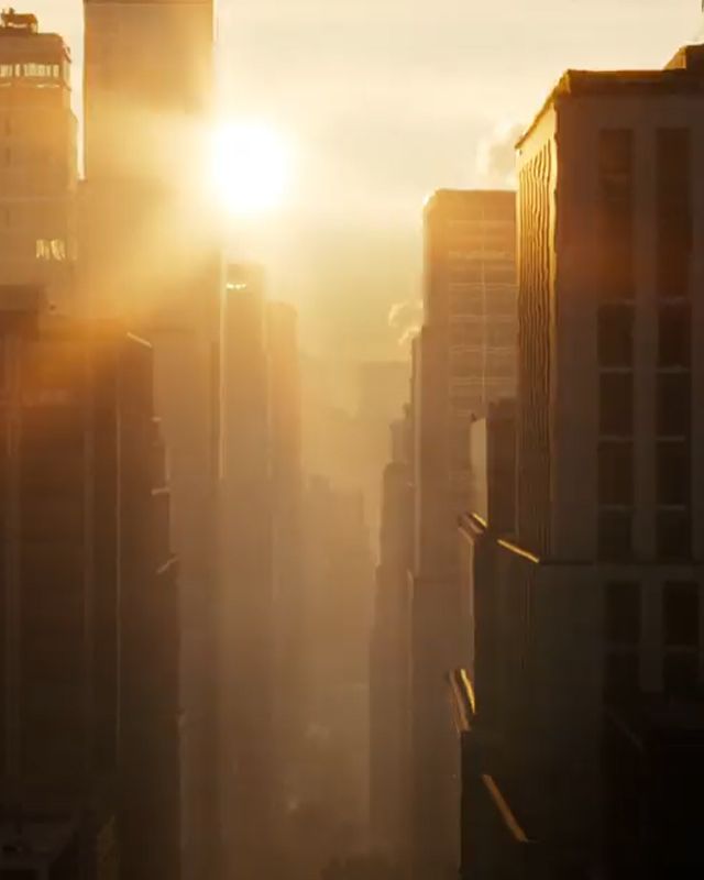 Golden shimmering cityscape silhouetted by the setting summer sun.