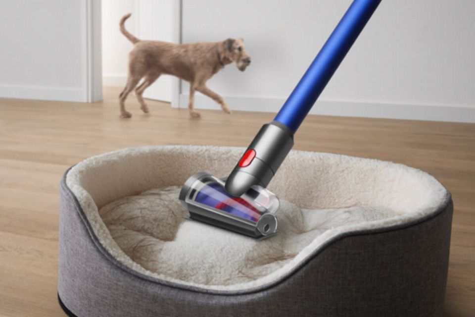 Dyson vacuum and a dog