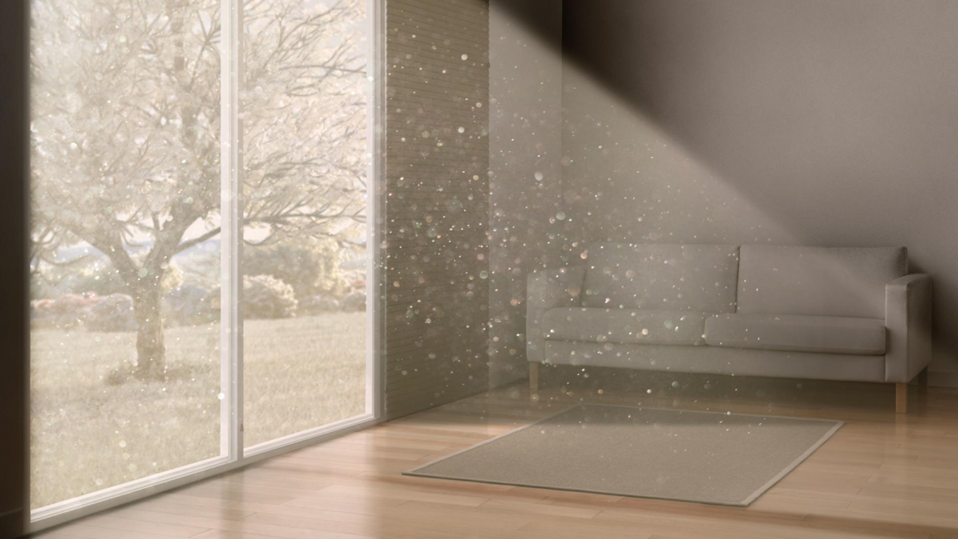 Pollen and dust in a room.