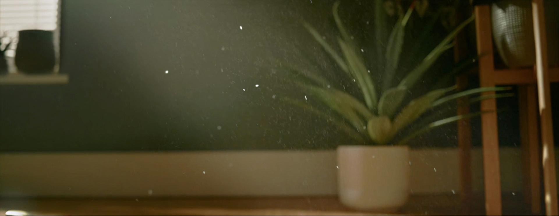 Airborne particles in a home.