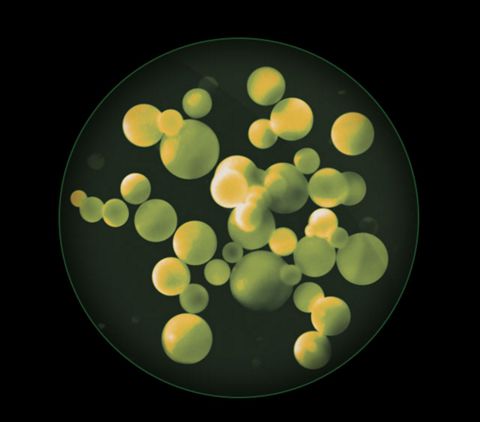 PM2.5 particle