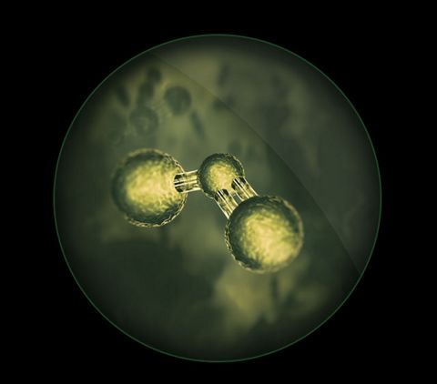 Nitrogen dioxide molecule
