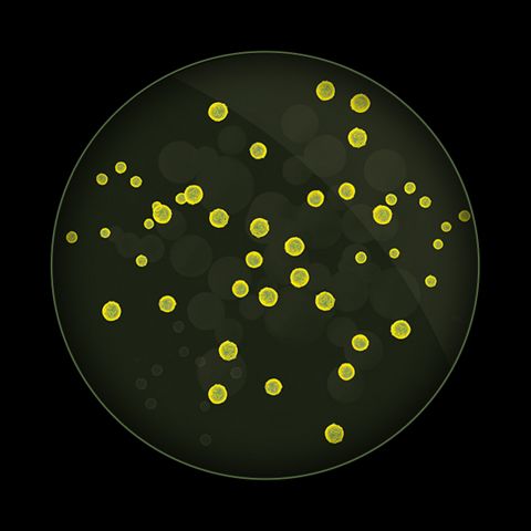 PM0,1 – Darstellung