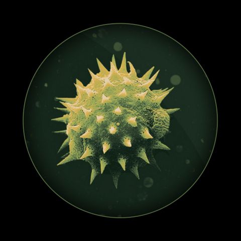 PM10 – Darstellung