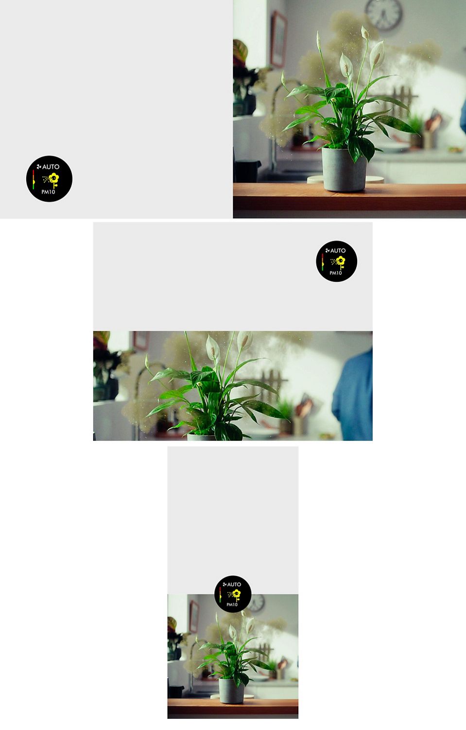 Plante entourée de pollen en suspension. Un graphique de l’écran du purificateur montre la présence de matière particulaire. A hand sprays cleaning products. A graphic from the purifer's screen shows volatile organic compounds are present.