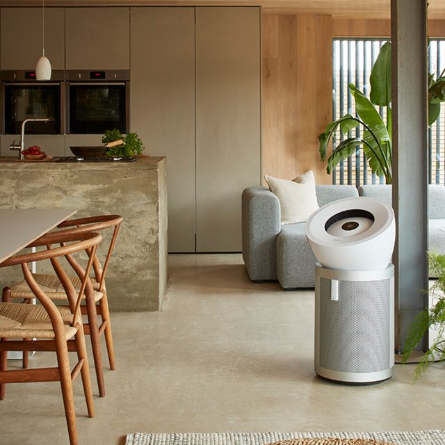 Dyson Purifier Big+Quiet 空気清浄機 ホワイト / シルバー (BP02 WS 