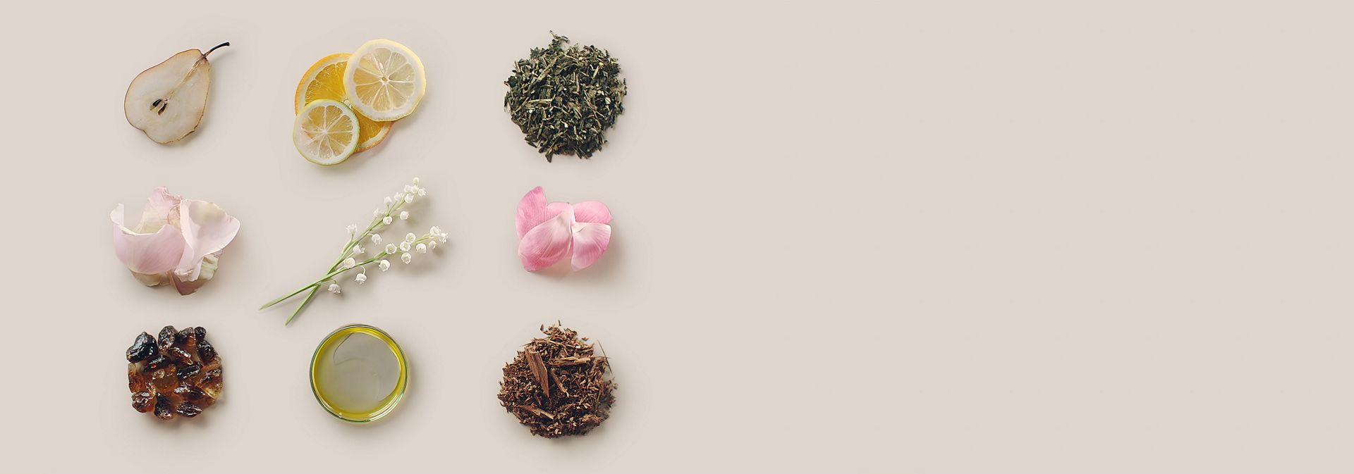 A collection of fruits, botanicals, spices and oils that give Dyson Amino leave-in scalp bubble treatment its scent.