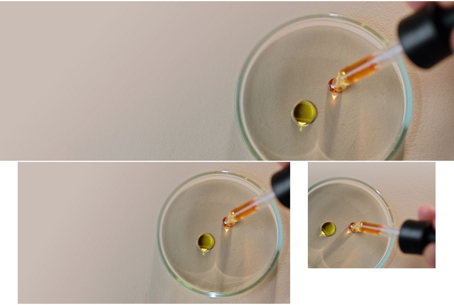 Dyson Amino11 blend is pipetted onto a petri dish.