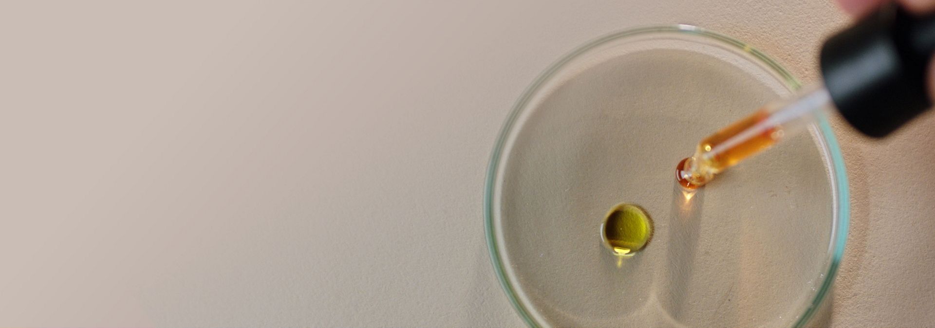 Dyson Amino11 blend is pipetted onto a petri dish.