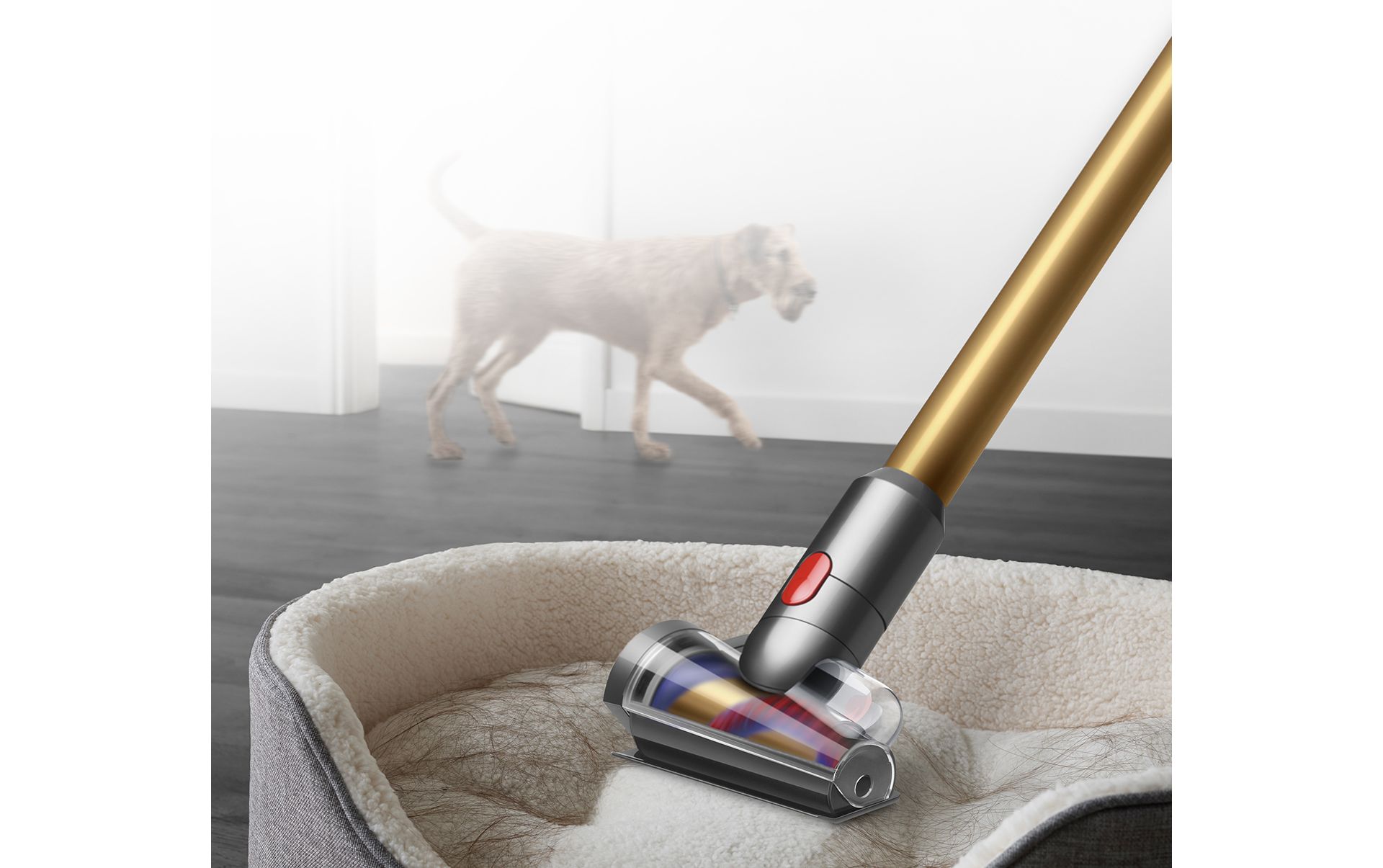 Hair screw tool cleaning a pet bed
