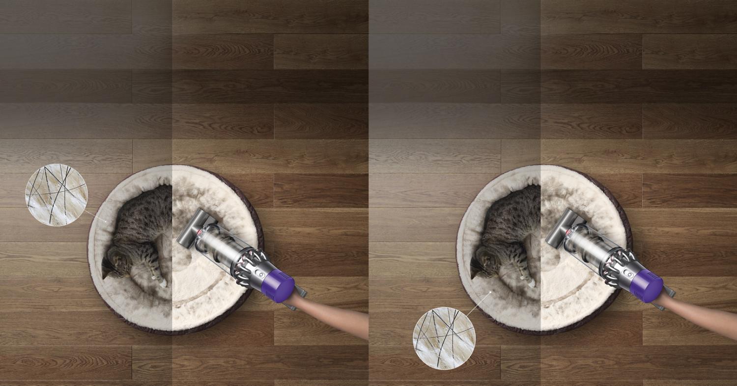 Pet hair removed with cat in basket