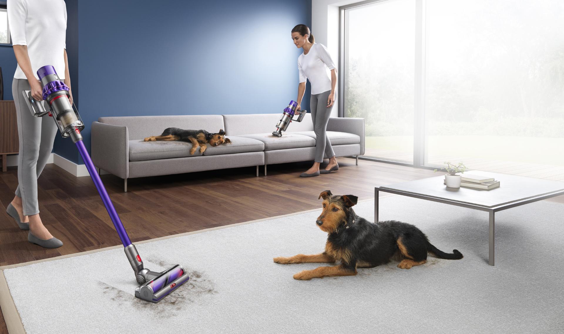 שואב אבק Dyson משמש לניקוי אחרי חיות המחמד שלכם