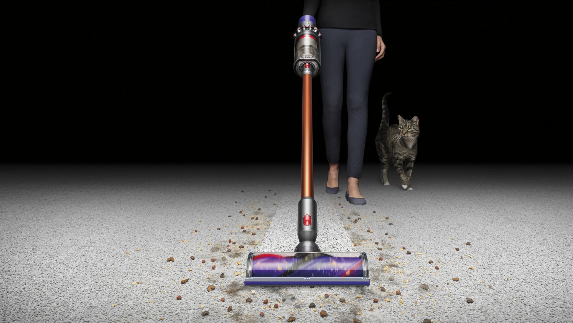 Pet hair being vacuum cleaned from carpet