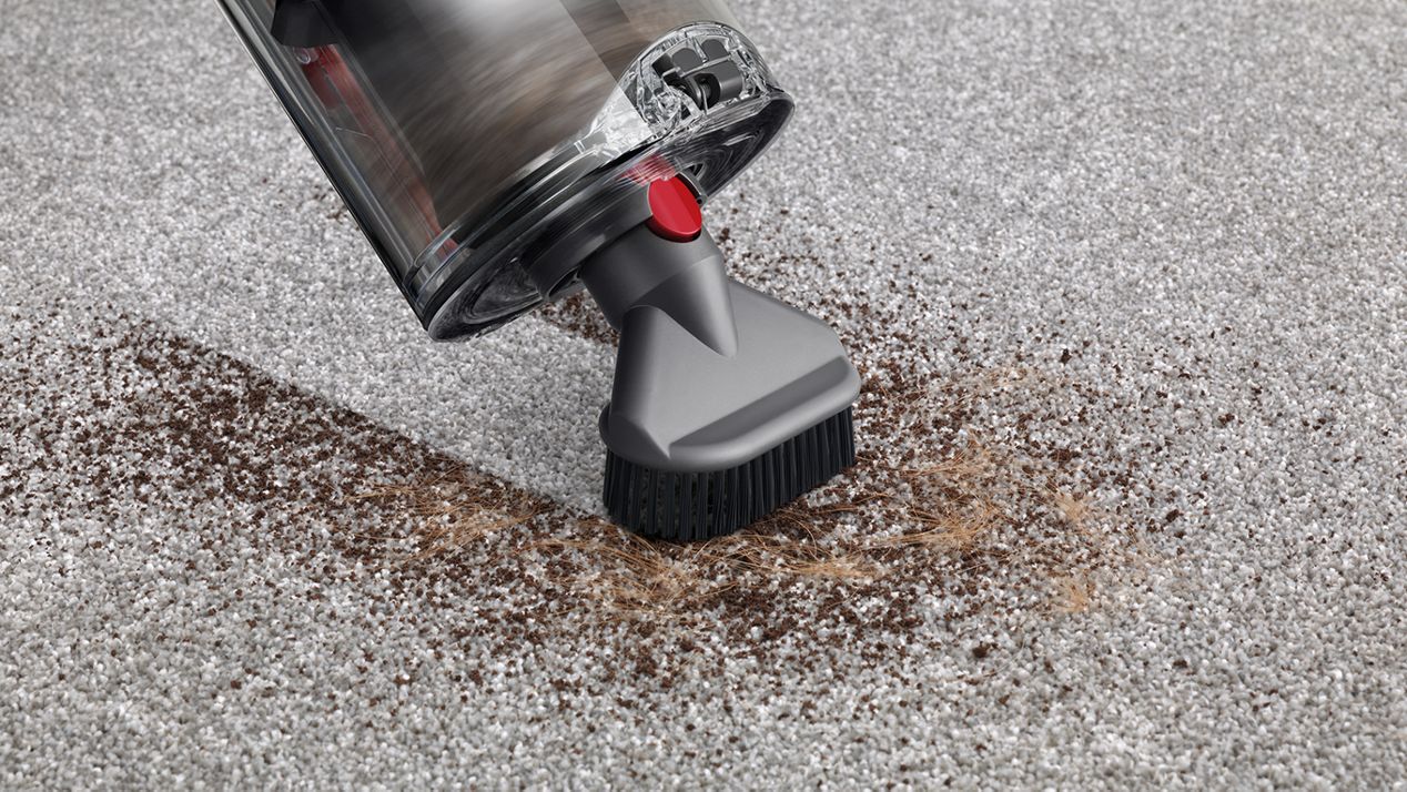 Stubborn dirt brush Dyson Cyclone V10 Dok?  Stubborn dirt brush Dyson Cyclone V10 Dok?
