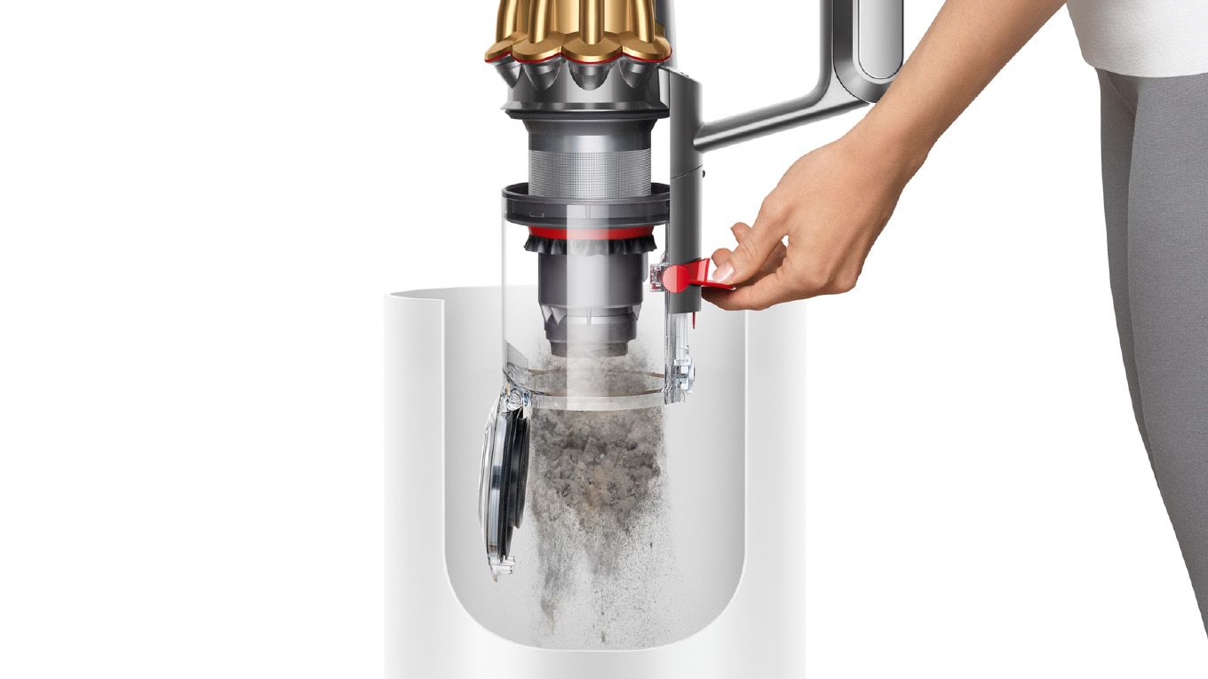 Person ejecting dust from the bin.