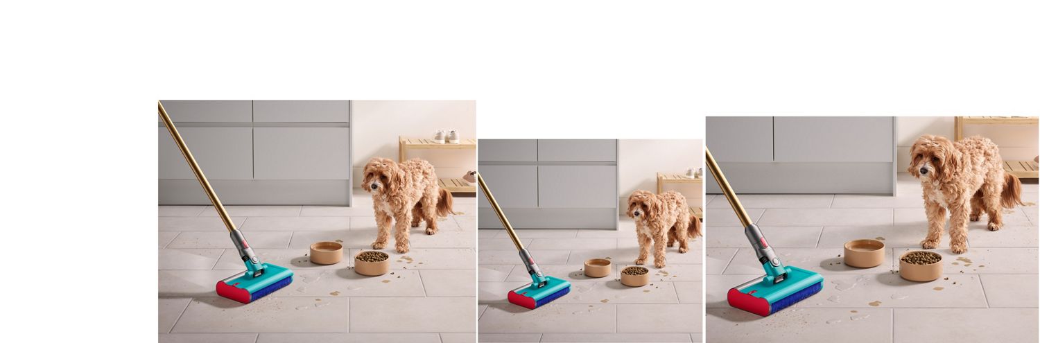 Dog stares past food and water bowl as Dyson Submarine Absolute wet roller head cleans. Dog stares past food and water bowl as Dyson Submarine wet roller head cleans up crumbs and spilt water across the kitchen floor.