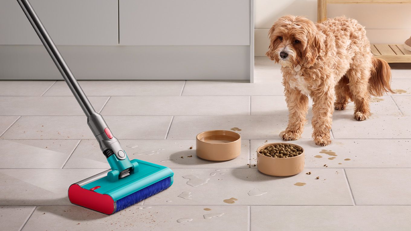 Dog stares past food and water bowl as Dyson Submarine wet roller head cleans. Dyson Submarine wet roller head cleans pet food spills